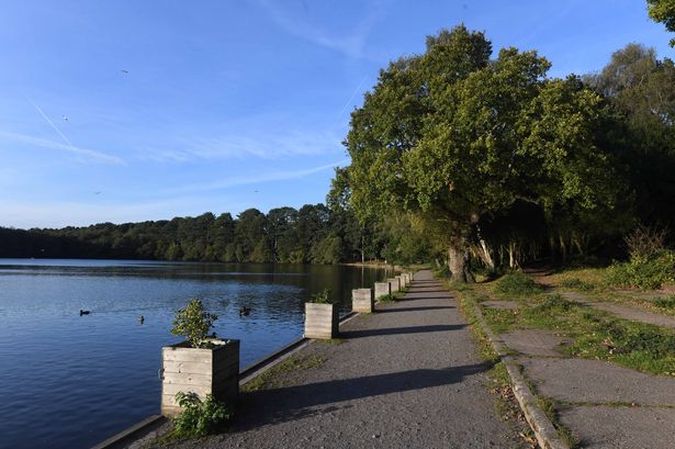 Sutton Park in the autumn sunshine