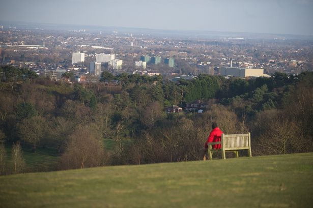 A moment of contemplation at the Lickey Hills