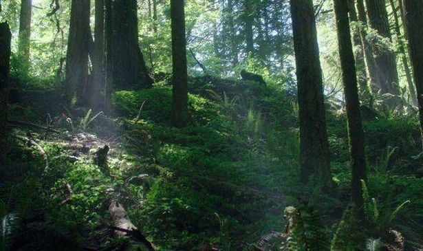 Leave No Trace