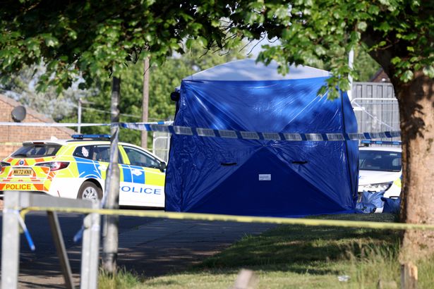A blue forensic tent was put up by police 