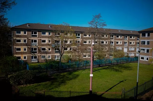 Greenery in the Lower Falinge estate in Rochdale - which is earmarked for yet more demolition