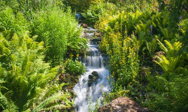 Waterfall in the Royal Botanic Garden, Edinburgh, City of Edinburgh, Scotland, United Kingdom, Europe.