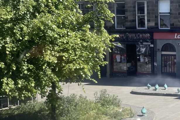 A bronze pigeon sculpture has vanished again from Elm Walk
