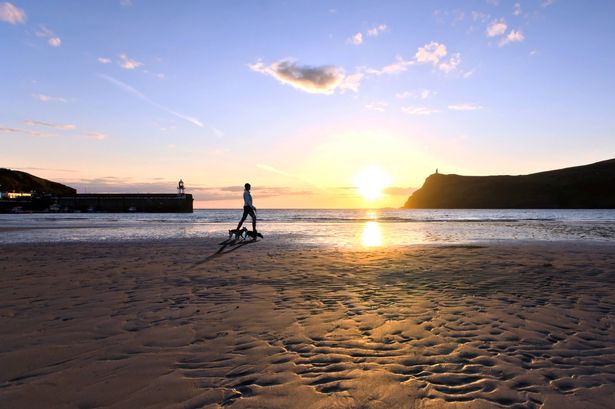 Woman walking dogs on a Beach during sunset in Port Erin on the Isle of Man