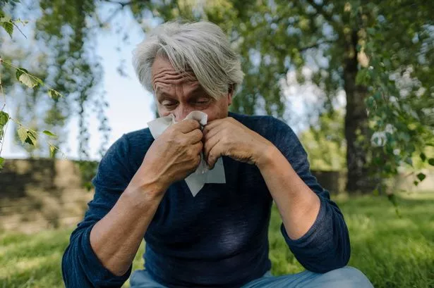 Hay fever symptoms are increasing as the weather gets warmer