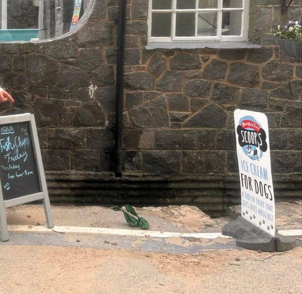 Two dog poo bags on the floor next to cafe signage 