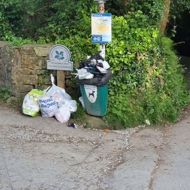 Overflowing dog poo bins 