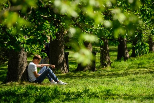 Virgin Media warned that placing your router close to windows and within reach of bright sunlight could slow your internet connection.