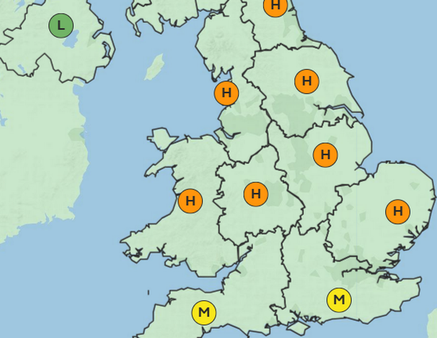 The Met Office forecasts 'high' pollen levels across much of the UK on Friday (May 9)