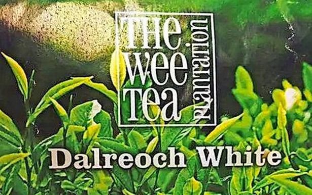 
Thomas Robinson supplied high-end customers such as Edinburgh's Balmoral Hotel and the Dorchester in London with varieties with names like Dalreoch White, Highland Green, Silver Needles and Scottish Antlers Tea.