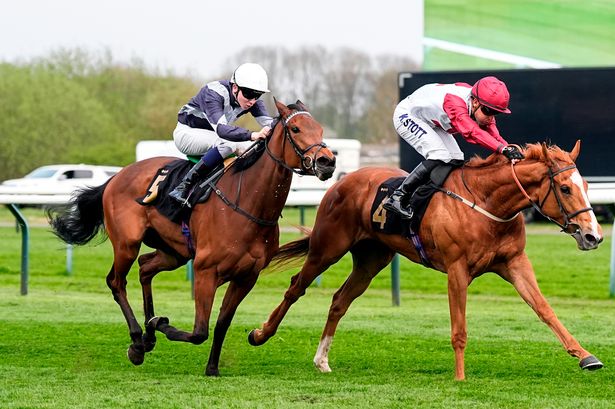 Manila Thriller is tipped to win on Monday