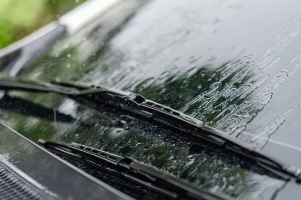 The period between May to September sees the highest number of bugs on vehicles, thanks to active insect populations and warm temperatures.