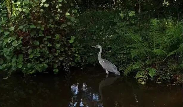 There's loads of wildlife to spot
