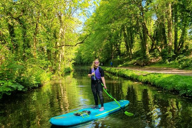 A paddleboarder on their board on the still canal with  green trees in the background