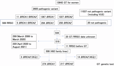 The impact of public insurance on RRSO for HBOC in Japan: a nationwide data study
