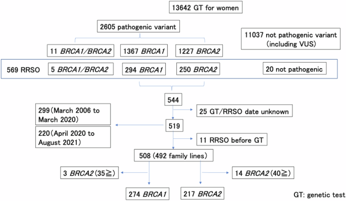 The impact of public insurance on RRSO for HBOC in Japan: a nationwide data study