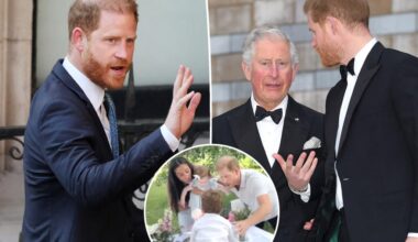 Prince Harry unloads 'shocking truths' after losing security appeal, taking aim at King Charles