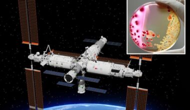 Mysterious bacteria with 'unique abilities' discovered on Chinese space station
