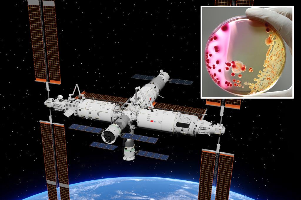 Mysterious bacteria with 'unique abilities' discovered on Chinese space station