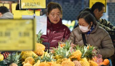 China's retail sales disappoint as stimulus fails to spur demand; industrial output defies tariffs