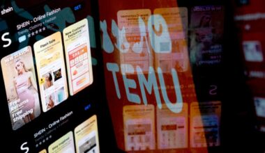 Temu, Shein face big U.S. tariffs. Don't count them out, experts say