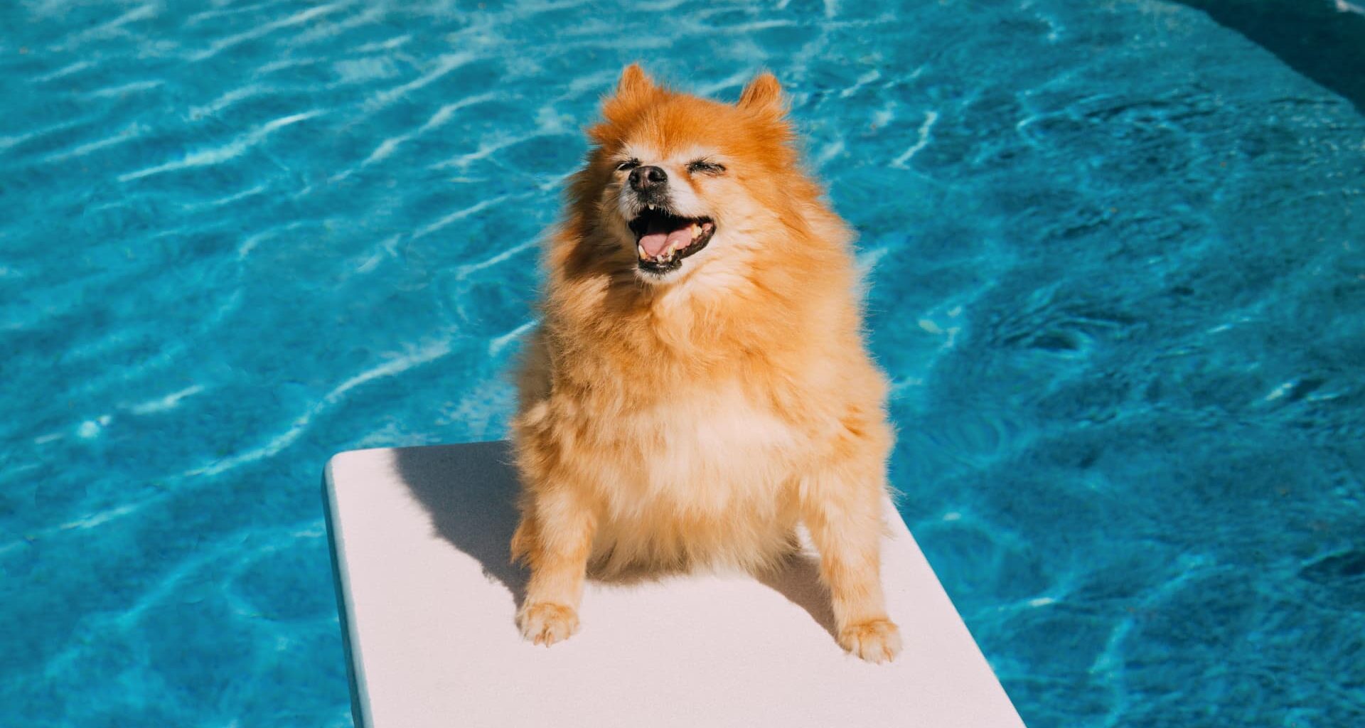 Why summer is actually the best time to start therapy