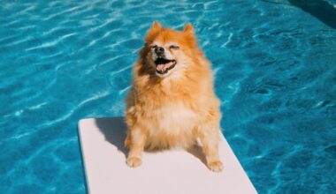 Why summer is actually the best time to start therapy