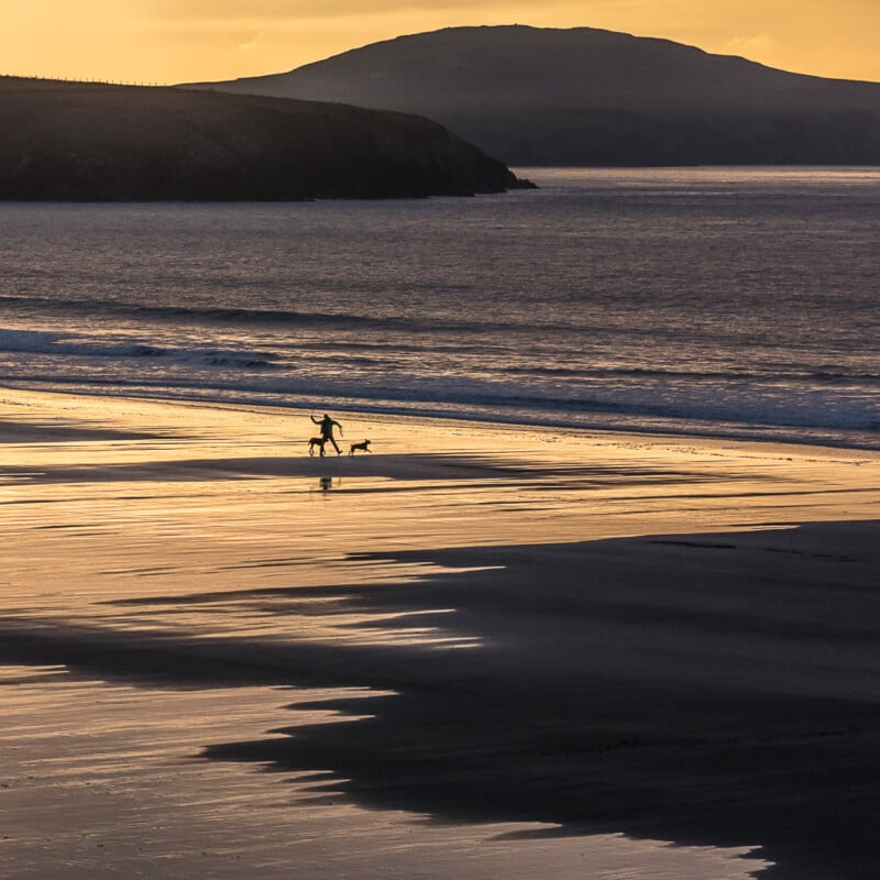 A person and a dog walk along a wet, reflective beach at sunset, with gentle waves and a distant hillside silhouetted in the golden light.
