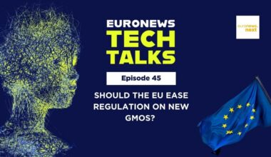 Should the EU ease regulation on new generation GMOs?