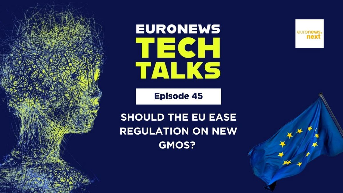 Should the EU ease regulation on new generation GMOs?