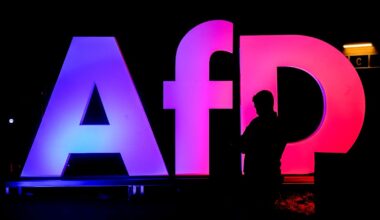Germany's spy agency suspends 'extremist' classification for AfD party, says court