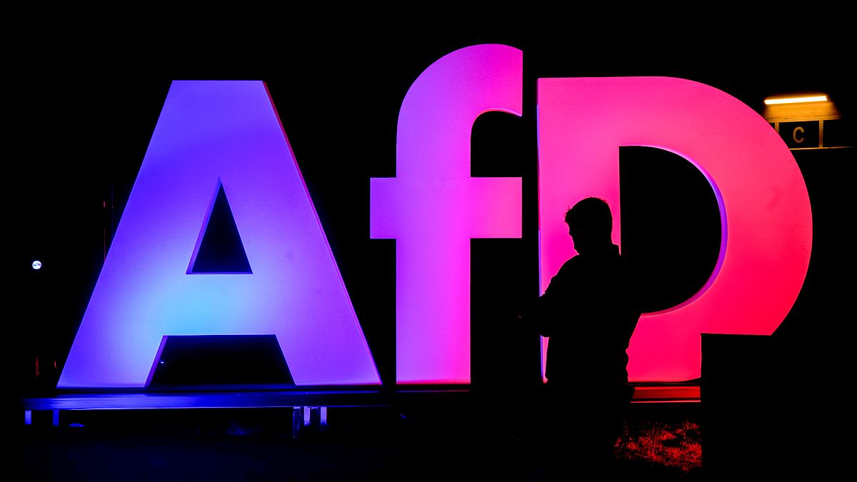 Germany's spy agency suspends 'extremist' classification for AfD party, says court