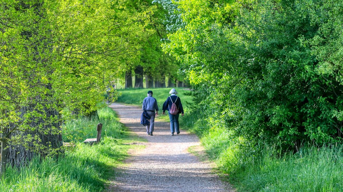 Are you saving smartly? Top pension advice experts want you to hear