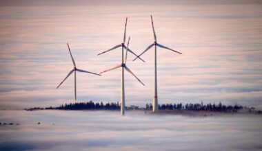 Europeans want homegrown renewable energy over fossil fuels from Trump or Putin, poll confirms