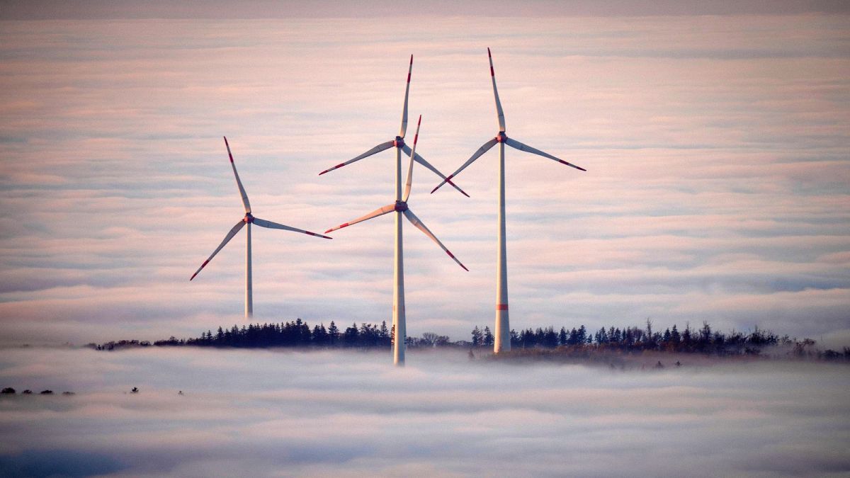 Europeans want homegrown renewable energy over fossil fuels from Trump or Putin, poll confirms