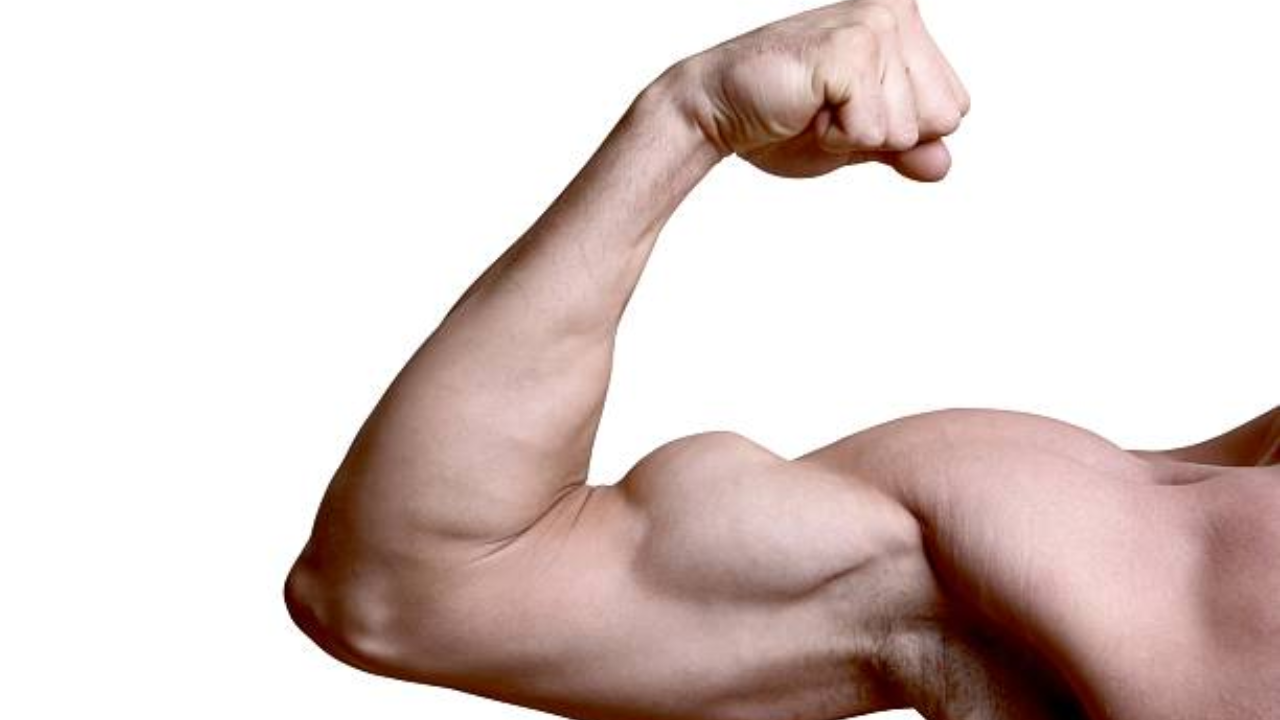 ​What supplements are good for building muscle?​