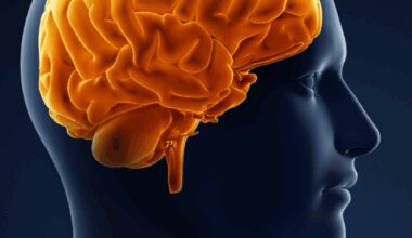 10 foods for brain growth and memory that kids should consume daily - Times of India
