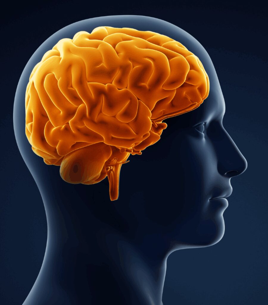 10 foods for brain growth and memory that kids should consume daily - Times of India