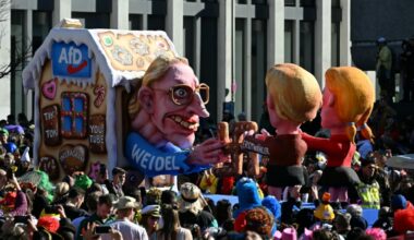 The AfD attracted many new voters at recent German elections (INA FASSBENDER)