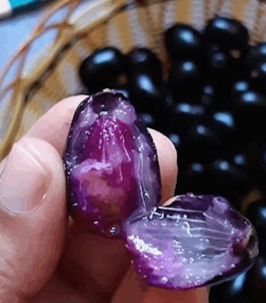10 reasons to have Jamun seed powder on an empty stomach