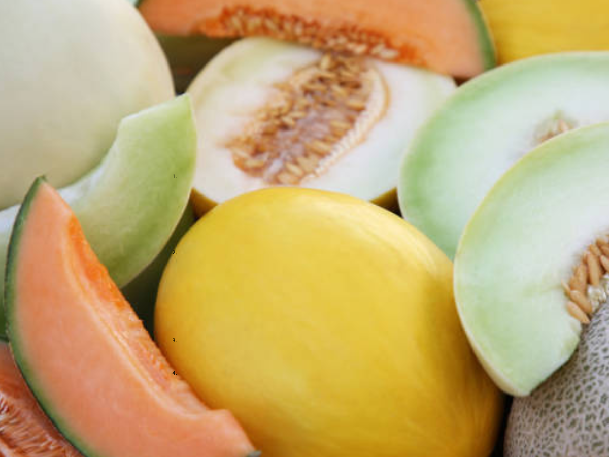 6 melons you should eat this summer (it’s not just watermelon)