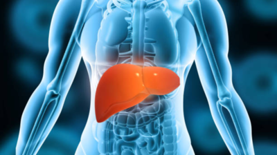 Common herbal supplement linked to deadly liver disease