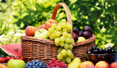 6 Common fruits that have the highest amount of fiber
