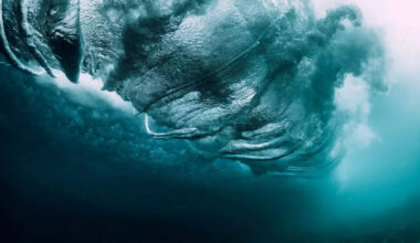 8 strange things found under the ocean