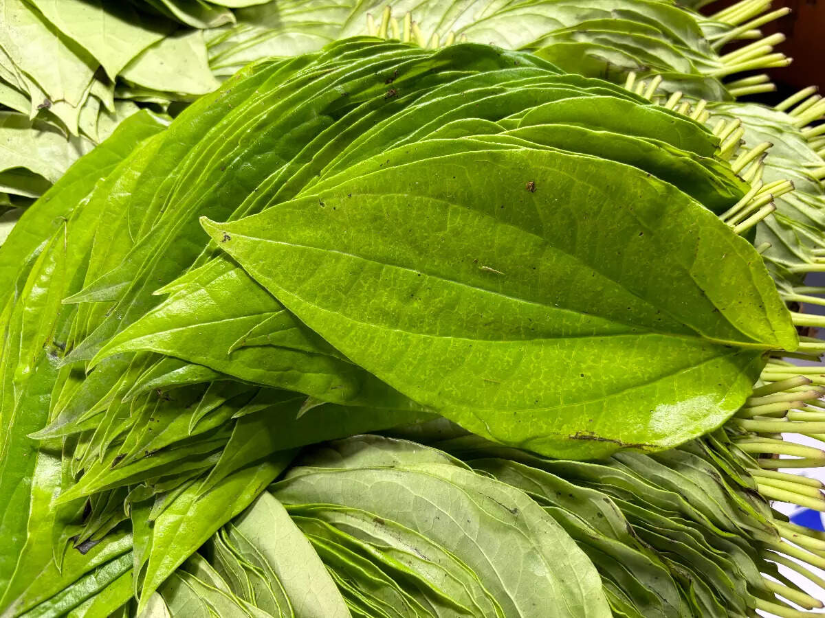5 reasons to chew betel leaf post meal