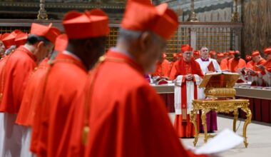 Europe has more cardinals than is fair – POLITICO