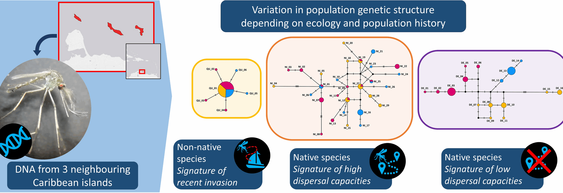 The ecological niche and population history shape mosquito population genetics on a group of three Caribbean islands | Parasites & Vectors