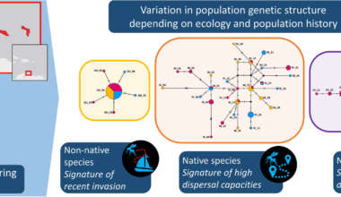 The ecological niche and population history shape mosquito population genetics on a group of three Caribbean islands | Parasites & Vectors