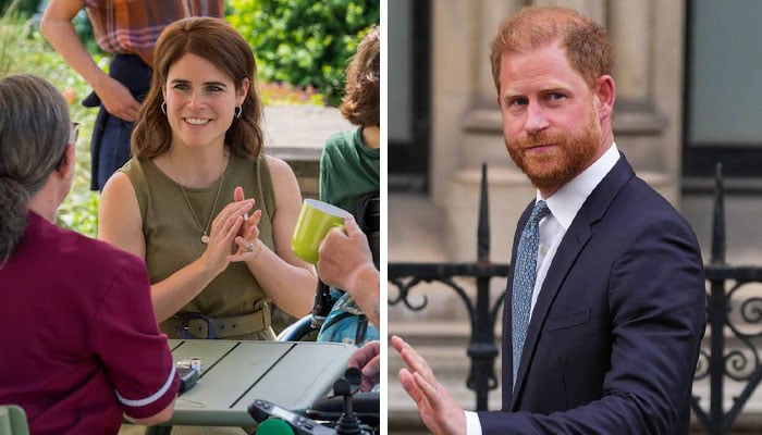 Princess Eugenie’s new royal role ‘a devastating blow’ to Prince Harry