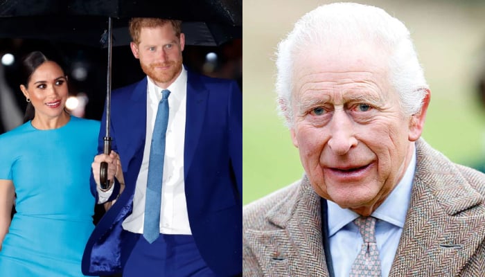 Prince Harry, Meghan Markle beam in new appearance after King Charles snub